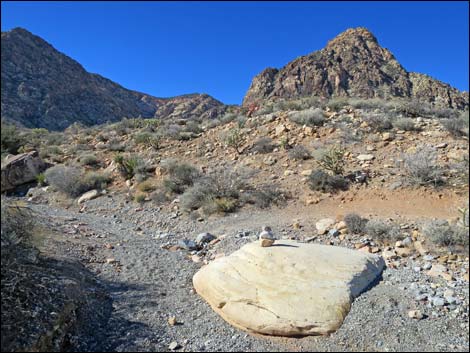 Lone Grapevine Spring