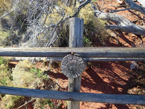 Lone Grapevine Spring