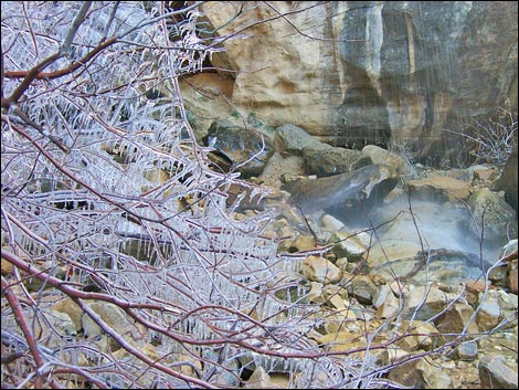 Lower Lost Creek Falls Trail