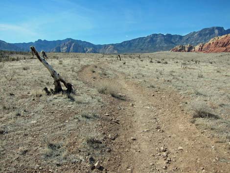 Moenkopi Trail