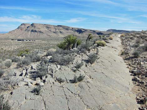 Moenkopi Trail