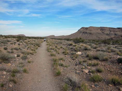 Moenkopi Trail