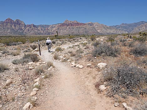 Ride Share Deluxe Loop Trail