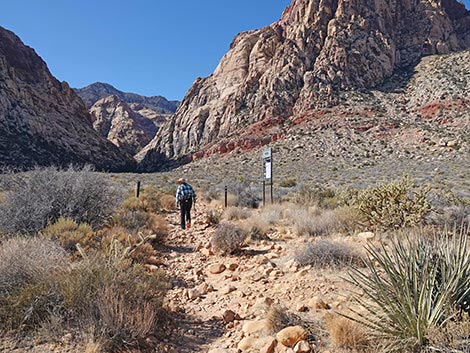 Oak Creek Canyon Trail