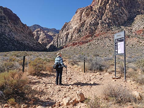 Oak Creek Canyon Trail