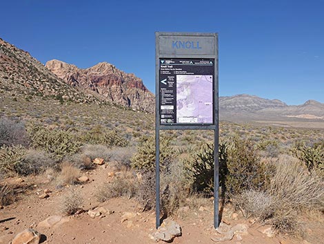 Oak Creek Canyon Trail