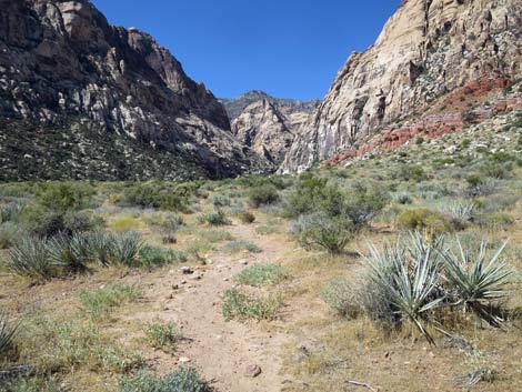 oak creek canyon