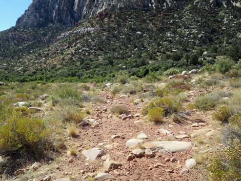 oak creek canyon