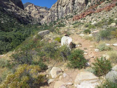 oak creek canyon