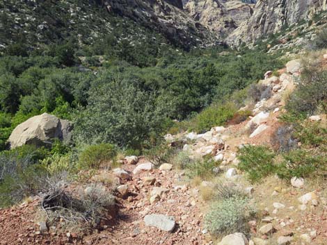 oak creek canyon