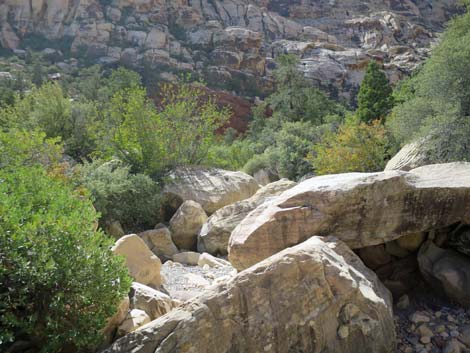 oak creek canyon