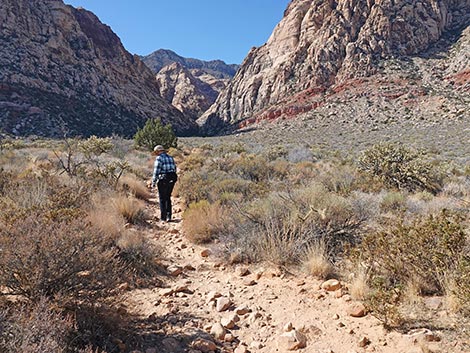 Middle Oak Creek Trail