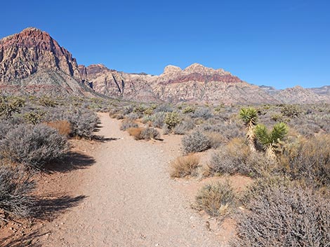 Middle Oak Creek Trail