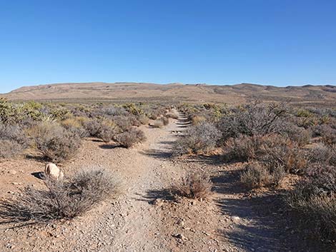 Middle Oak Creek Trail