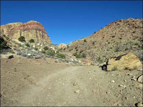 South Oak Creek Trail