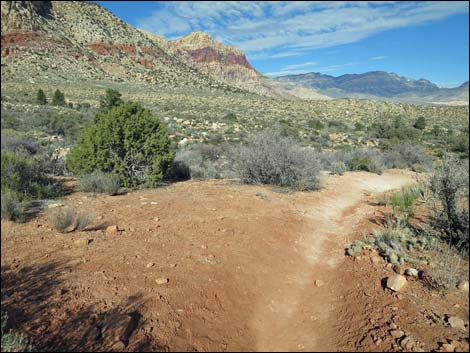 South Oak Creek Trail