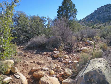 South Oak Creek Trail