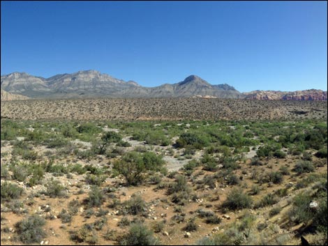 Red Rock Wash Overlook