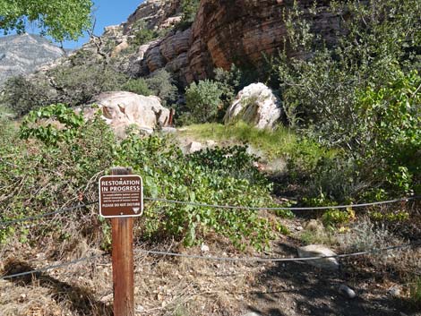 Willow Spring Picnic Area