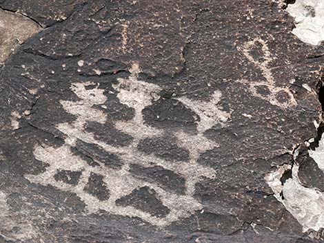 Petroglyph Wall Trail