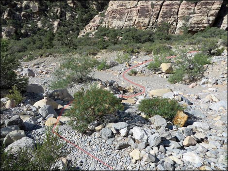 Petroglyph Wall Trail