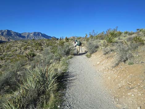 Pine Creek Canyon Trail