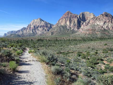 Pine Creek Canyon Trail