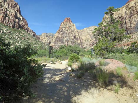 Pine Creek Canyon Trail