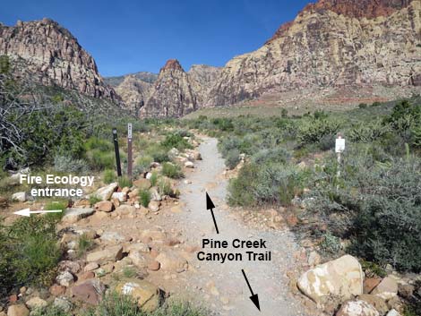 Pine Creek Canyon Trail