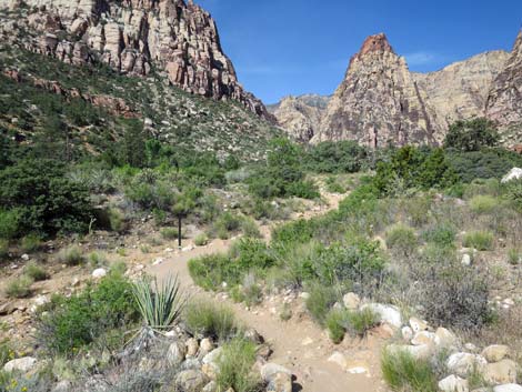 Pine Creek Canyon Trail