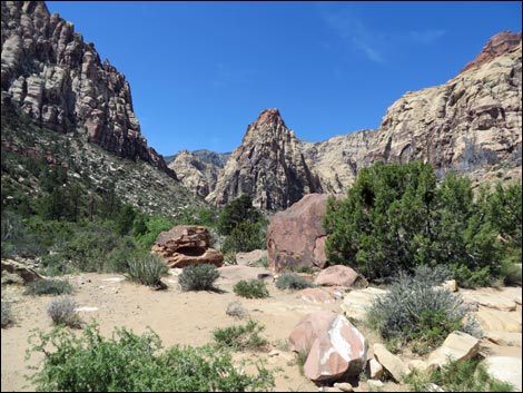 Pine Creek Trail