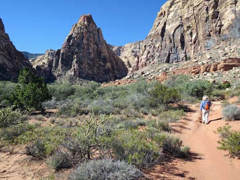 Pine Creek Trail