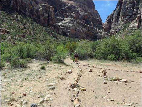 Pine Creek Trail