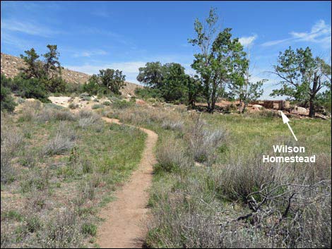 Pine Creek Trail