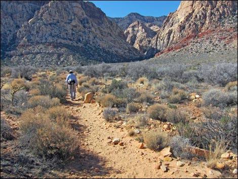 Rainbow Mountain Loop