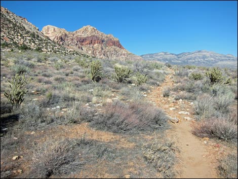 Rainbow Mountain Loop