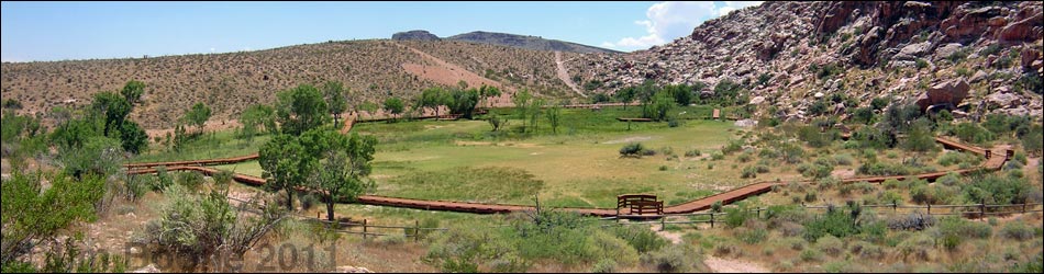 Red Spring Boardwalk, Calico Basin