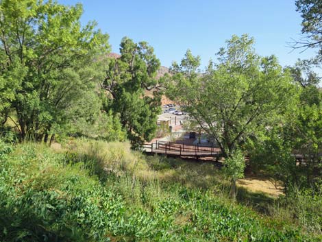 Red Spring Boardwalk