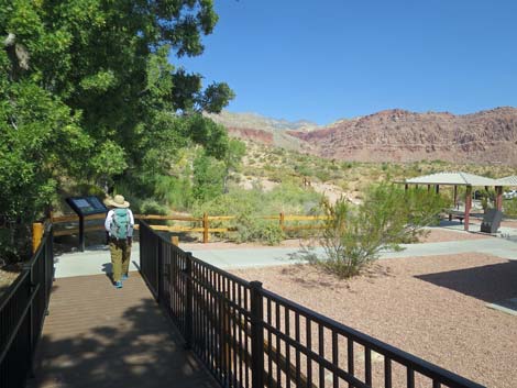 Red Spring Boardwalk