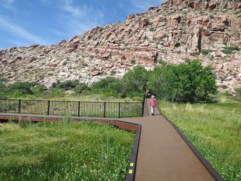 Red Spring Boardwalk