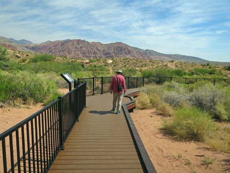 Red Spring Boardwalk