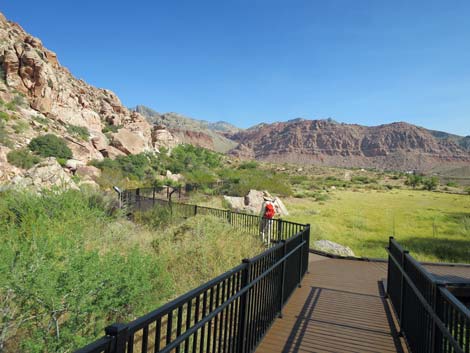 Red Spring Boardwalk Trail