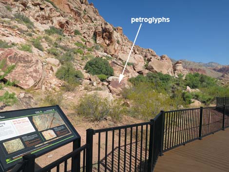 Red Spring Boardwalk Trail