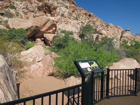 Red Spring Boardwalk