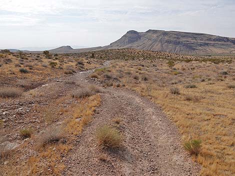 Ride Share Deluxe Loop Trail