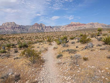 Ride Share Deluxe Loop Trail