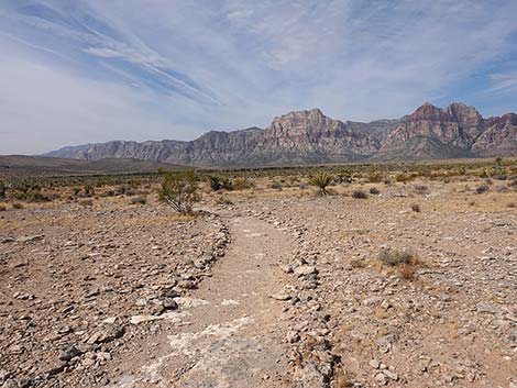 Ride Share Deluxe Loop Trail