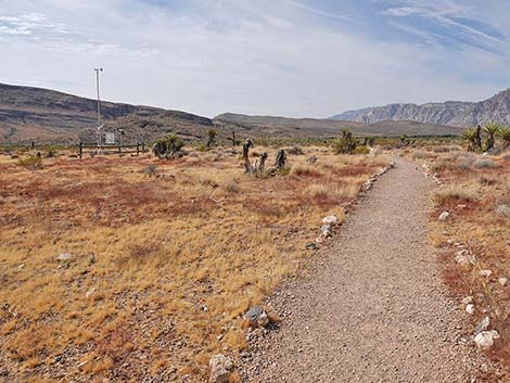 Ride Share Deluxe Loop Trail