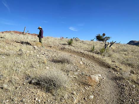 Ride Share Deluxe Loop Trail