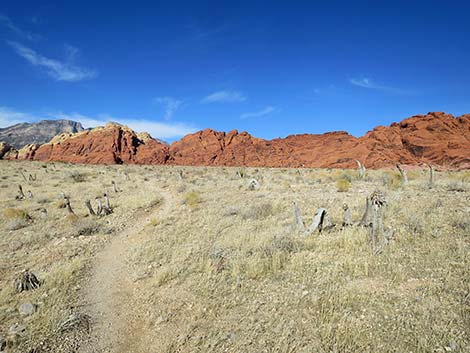 Ride Share Deluxe Loop Trail